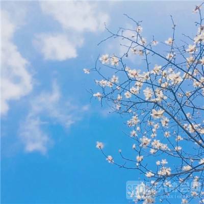 虾业遭关税冲击，印尼瞄准中国市场